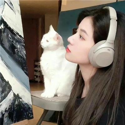 朵儿的战争